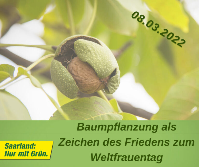 Ein Friedensbaum für den Stadtgarten Saarlouis