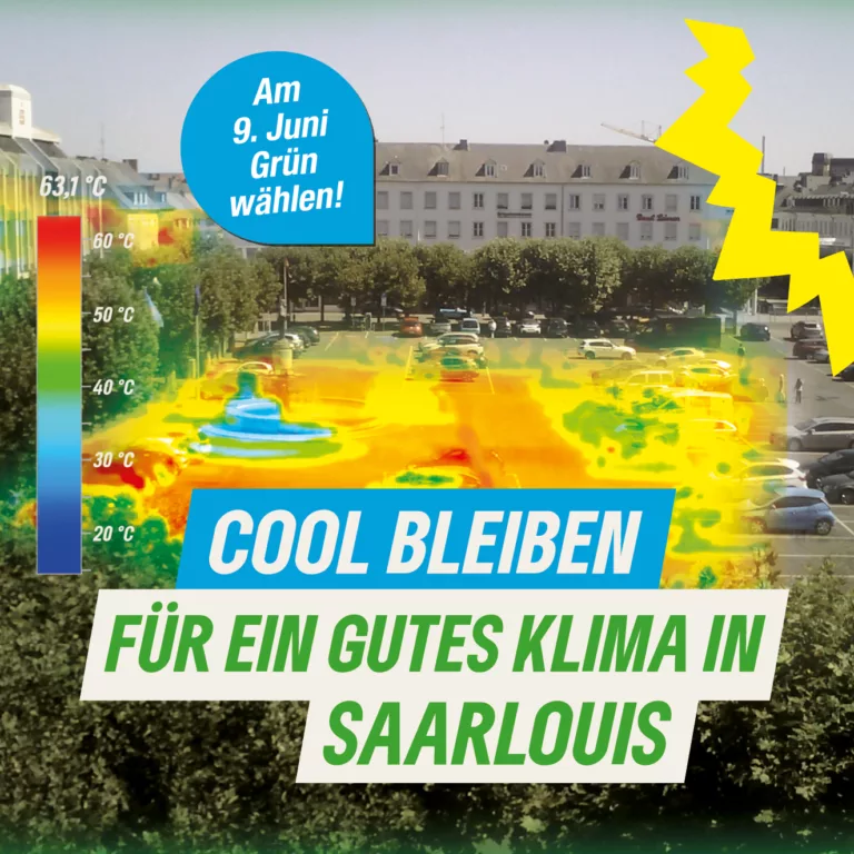 2. Saarlouis macht auch vor dem Klimawandel nicht halt –Lebensräume schützen