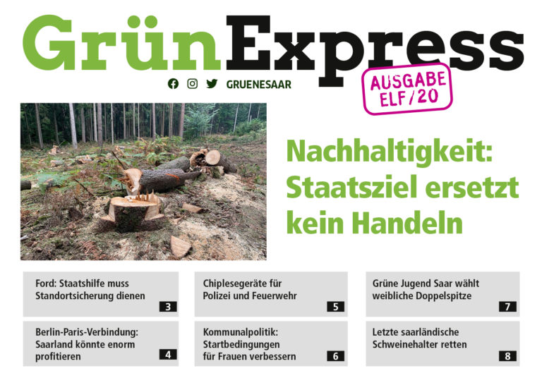 Landesverband | Grün Express – Ausgabe 11